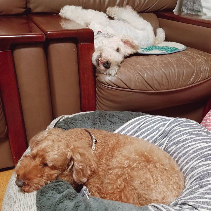 Cba23bf7 09c4 43b7 94be 365f5a6d8ee3 1566905751946