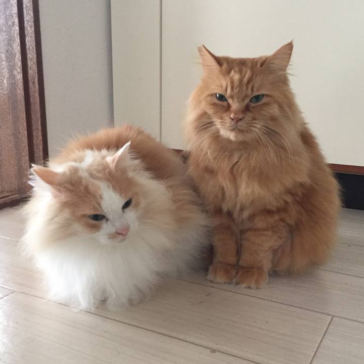 Cba24c0b e0f8 4895 9dc1 60d847e3c9cc 1553726361159