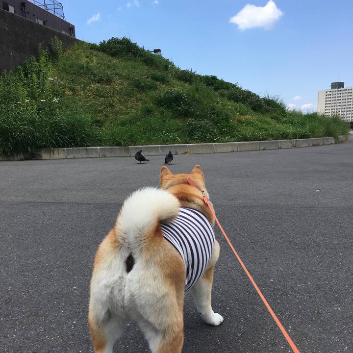 Cba25f74 aa72 46cb b223 c2dfe702aa88 1558059350559