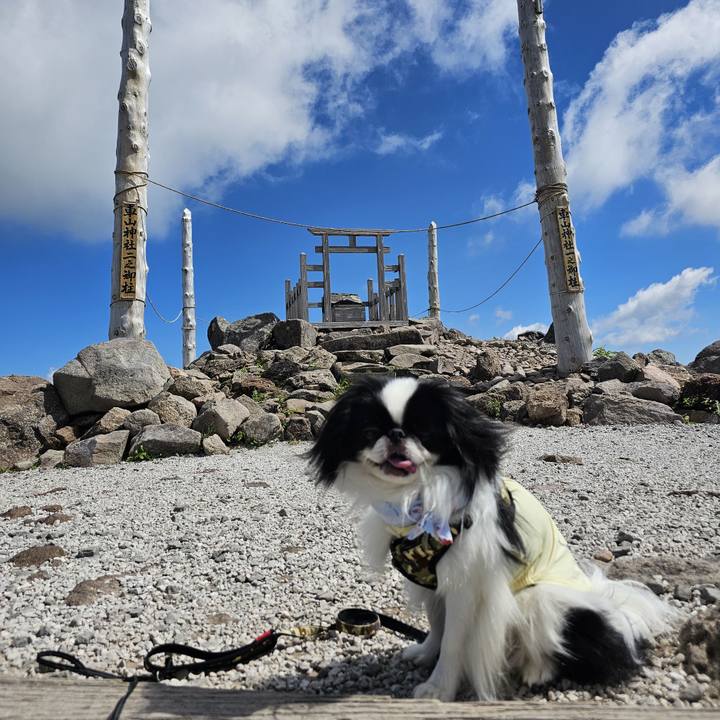 Cba263ca b4d0 4676 af99 eead469fd00a 1721770168451