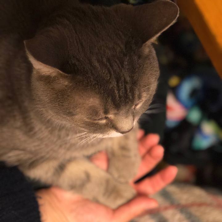 Cba28f6c 9890 4dde b0c0 712b6df8f8c3 1519826773266