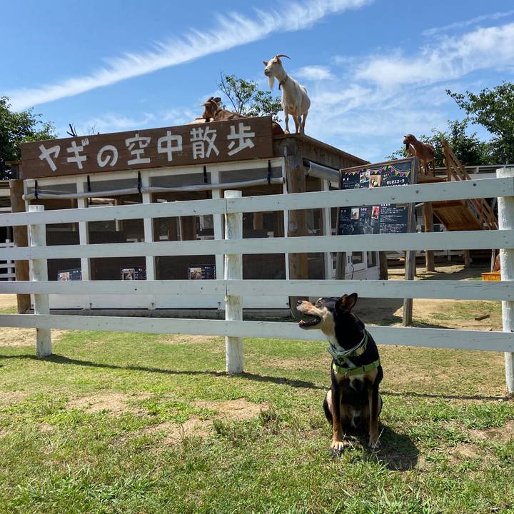 Cba299a6 5d9e 49b5 9bd2 9e58d8419b17 1624272544167