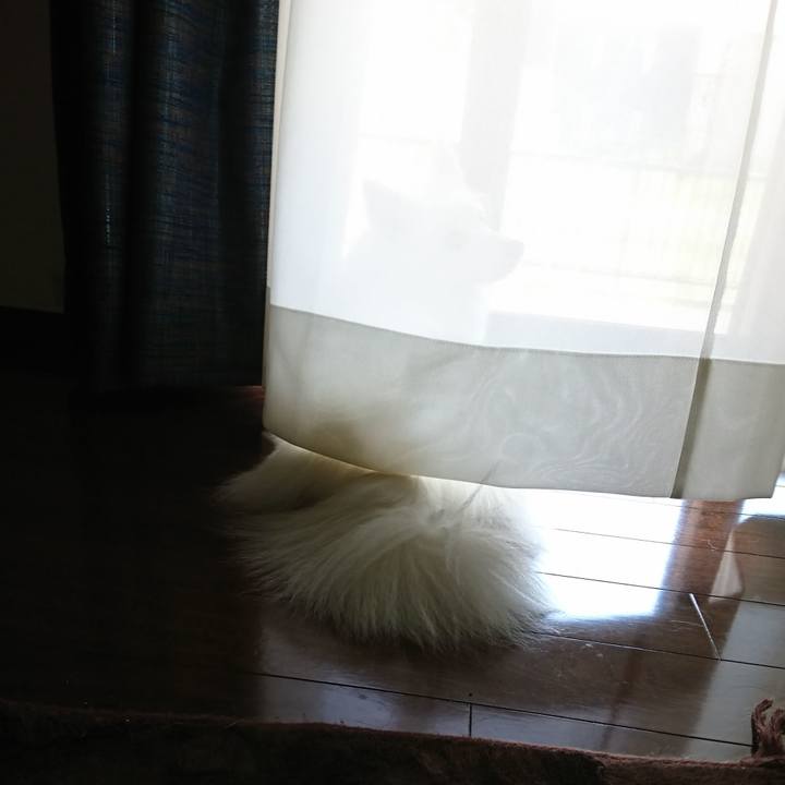 Cba2b002 753c 48fa a229 4c148ccbfd4a 1534823588403