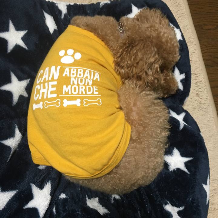 Cba2d389 25eb 4f14 9a67 d81fa3eb7583 1512046302232