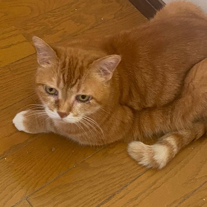 Cba30b31 b594 4a7d 9b2a 035cb15d6dc9 1718422468414