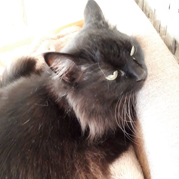 Cba31e2a d89f 4d2f afff 720ca279ca04 1519105172779