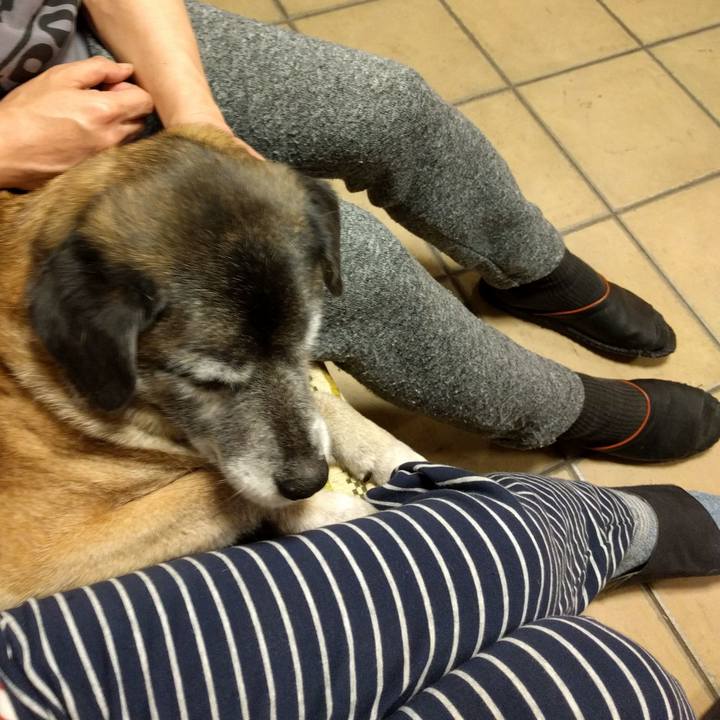 Cba32db2 457b 471c 982d 749733935c8a 1522244585625