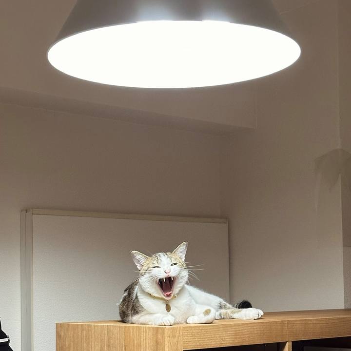 Cba35a80 64ad 4490 8d1e 24a1d33ffdb0 1760095646609