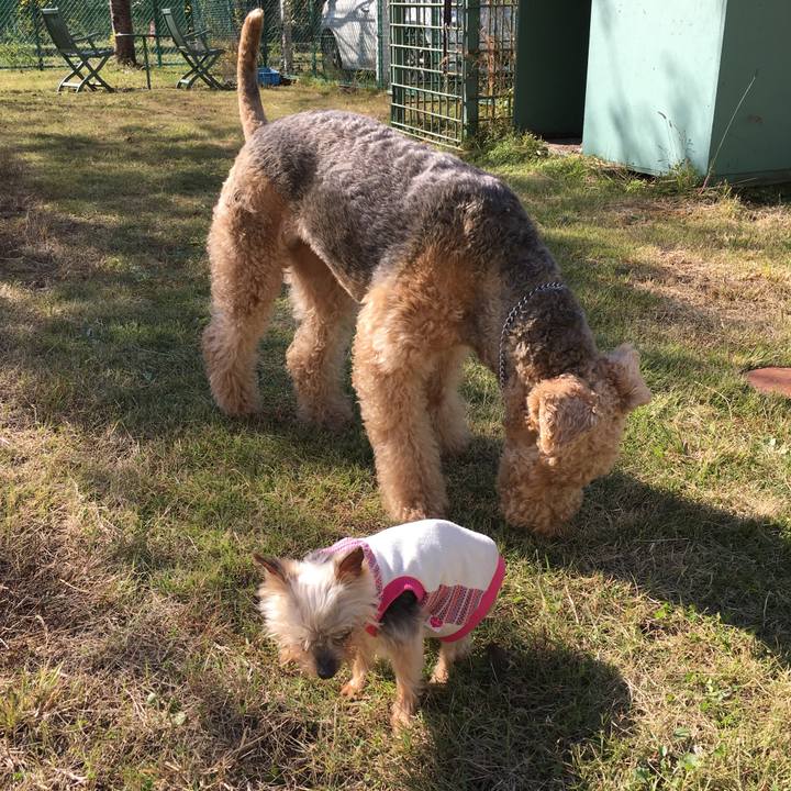 Cba3a758 bf2c 4e80 a3a2 831de3d0f647 1509803707624