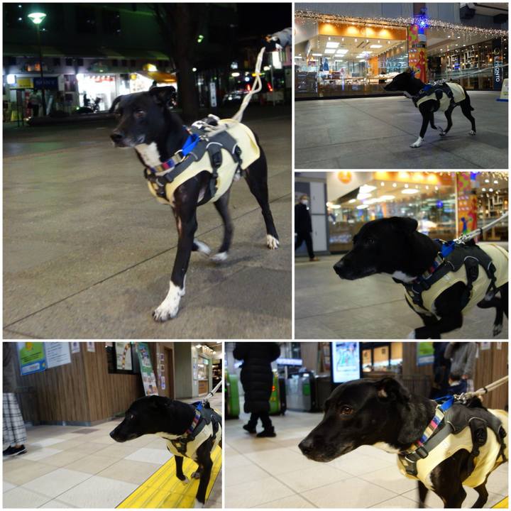 Cba3aa45 53bd 4f47 9962 8357c8e7c905 1642849799866