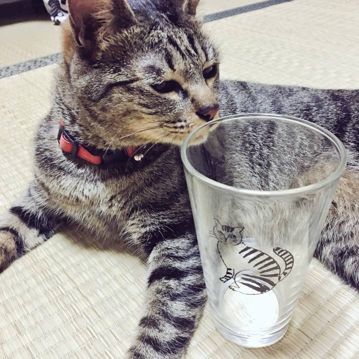 Cba3af51 b87b 41d7 8f1b 50ef0aec99bd 1526602670897