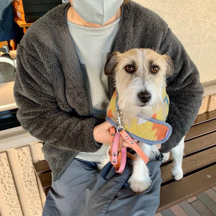 Cba3f822 666d 42c0 af8a 6da49c6b1fca 1673525200379