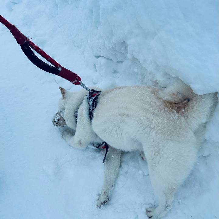 Cba42c16 b377 43b8 abc1 e261b0b638f1 1705293561306