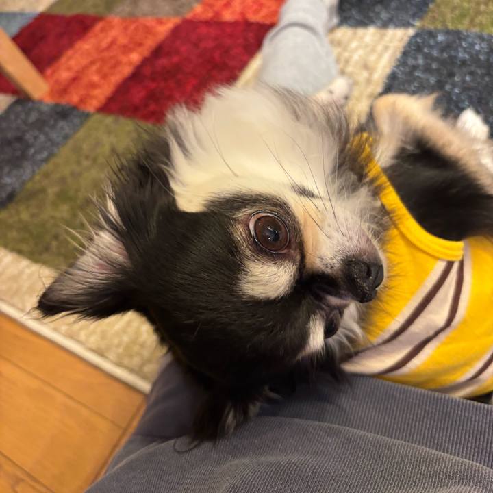 Cba4424e 0709 46c3 9c1b e81a035d2c1b 1744561827408