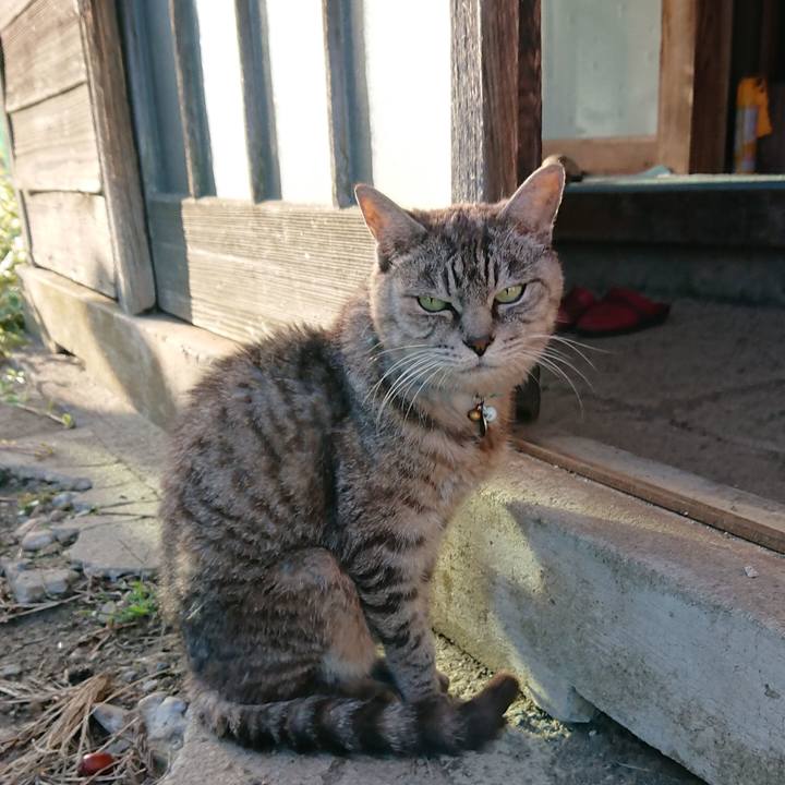 Cba479ef 202d 4552 b129 d286206b5577 1570951671381