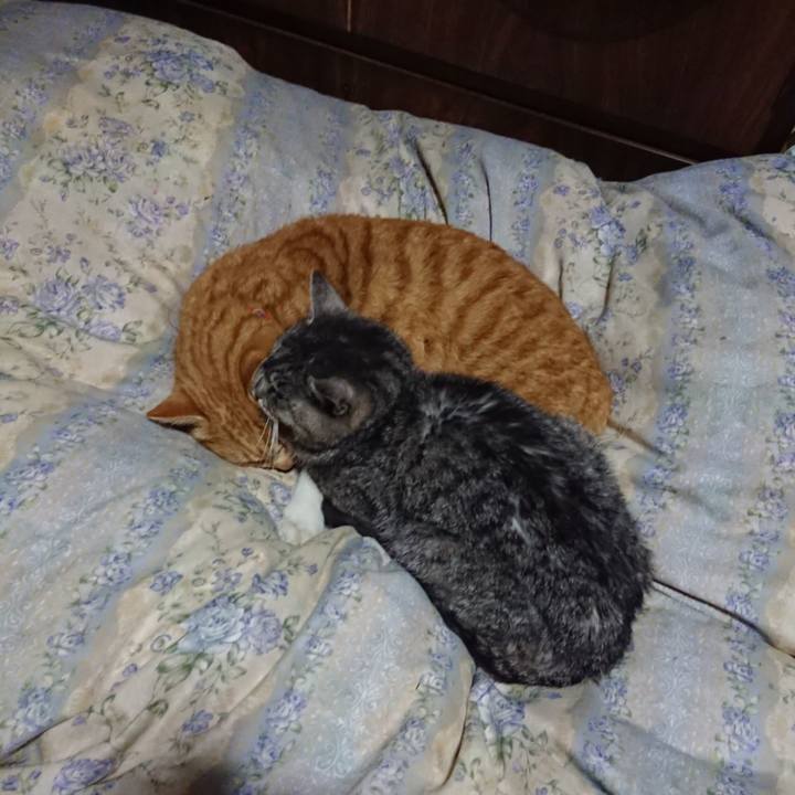 Cba497f2 c340 4705 8f36 215209209ef5 1579435377976