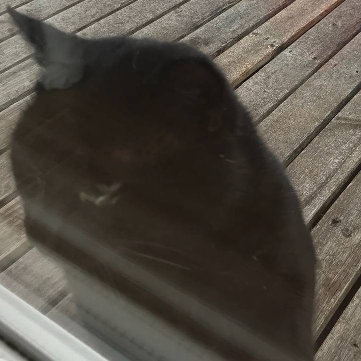 Cba4a5a6 c6be 4778 a258 1028e344ec17 1520642595806