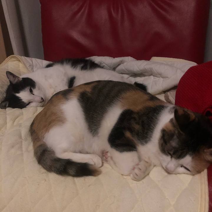 Cba4e7a4 315c 449d be38 aae328cacea9 1603297516353