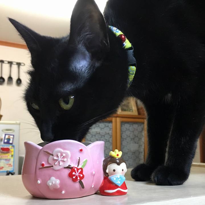 Cba4f758 eb3c 45cf 89df 43b8cd061983 1520079408894