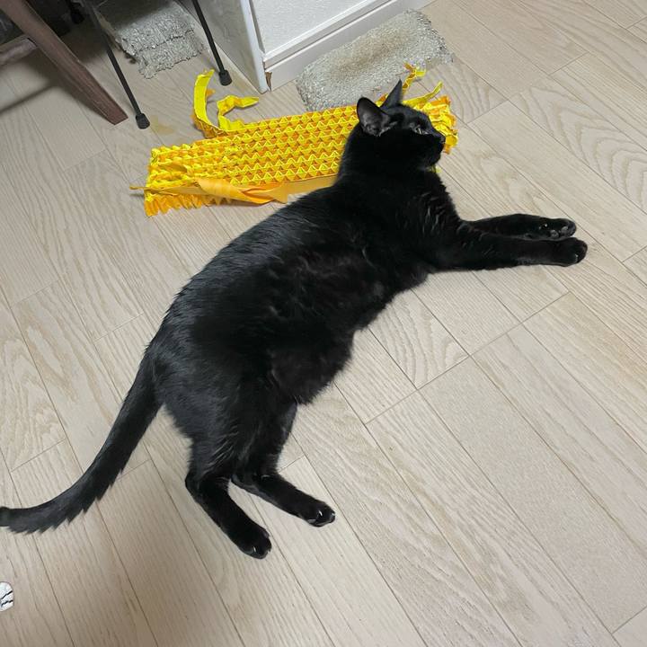 Cba5747a 4d06 44cb a59c e51844d791b4 1671439587026