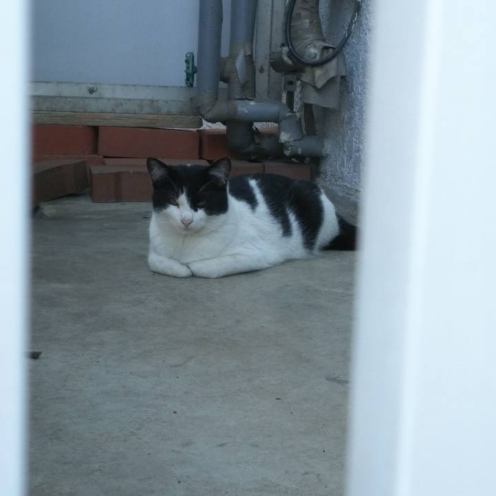 Cba590db fe61 4e32 a19c 4b9114015ba1 1558067935359