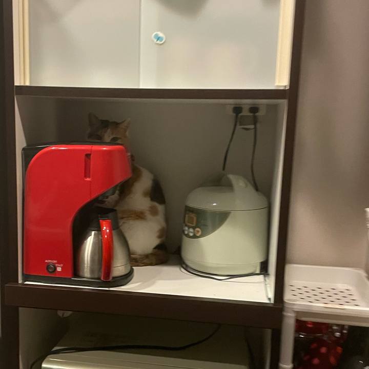 Cba5aea1 945f 4366 9966 fb058ac0ebc1 1747571779416