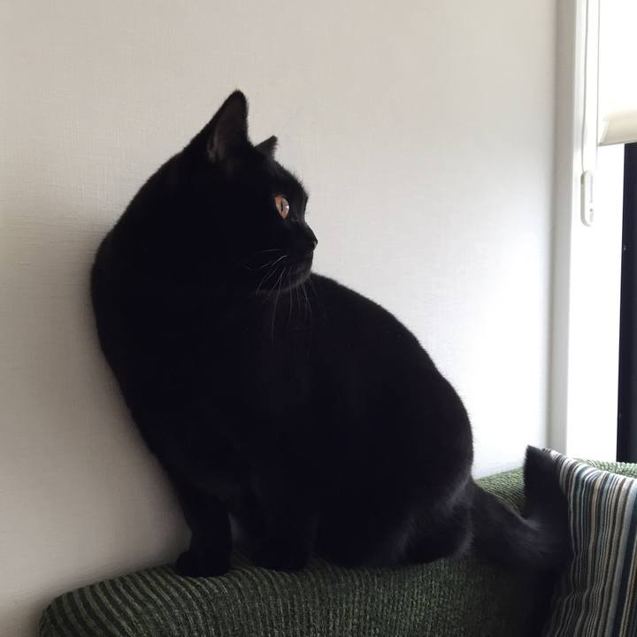 Cba5d21b 8d2d 4ffc b343 dd008c071738 1516689991992