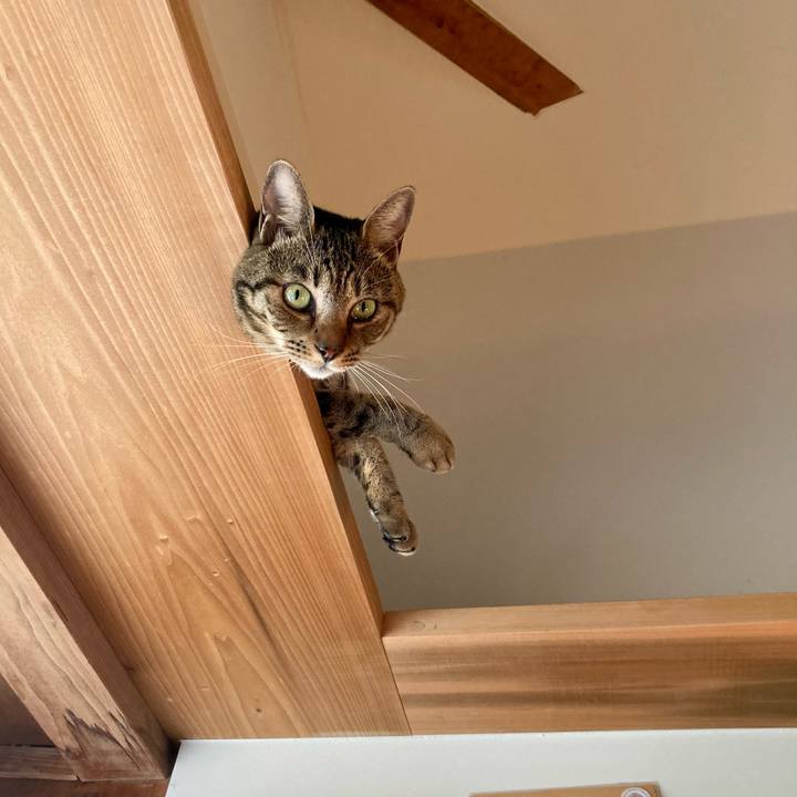 Cba5d61d 6902 4eba 9bde aed07135a6b8 1689563343817