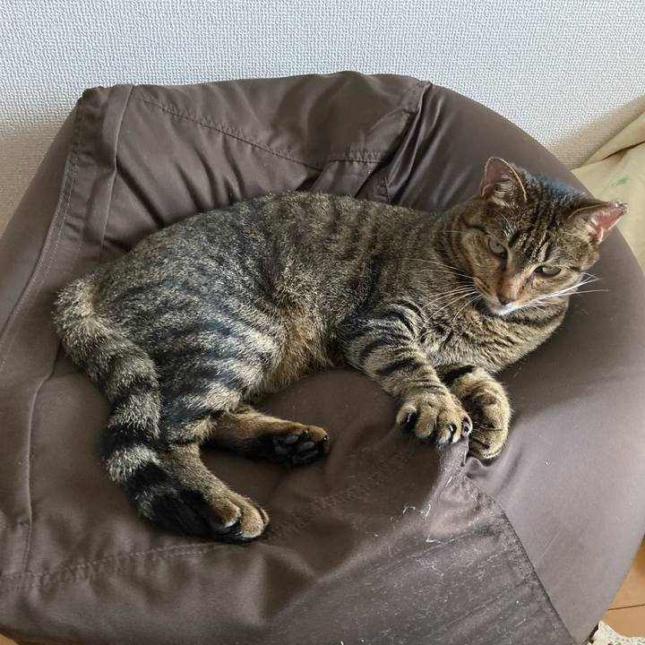 Cba5dd07 fe46 46d5 be4a 8c60abaca1f3 1593588197365