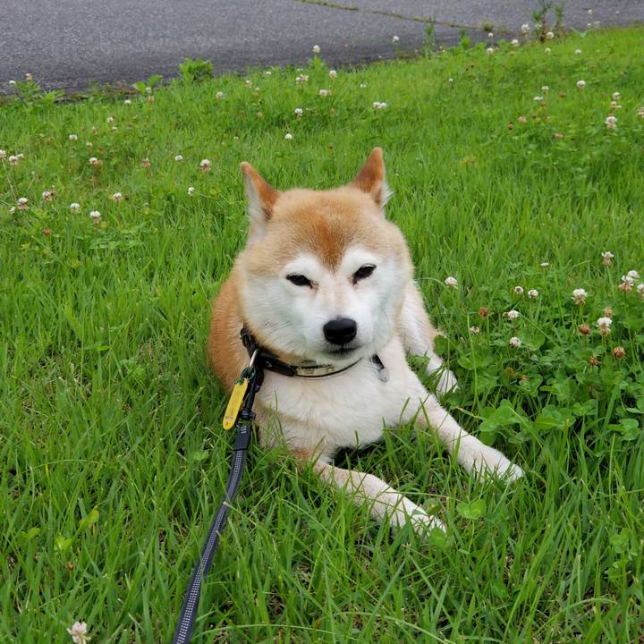 Cba5f22c 70ee 4da8 b4a8 cbccecaee939 1595233112358