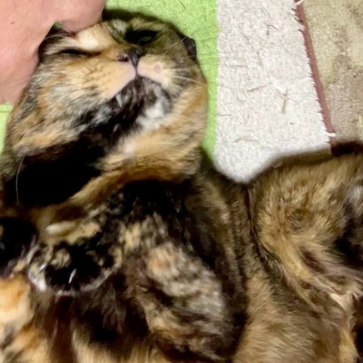 Cba67897 db0d 43ee 82a6 4dcc3fe874f4 1736855199876