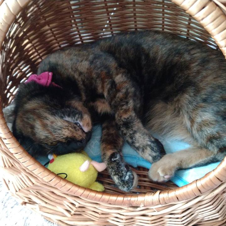 Cba6ab5b 40c3 487b 8970 5ef9f0aa9d9f 1626568679534