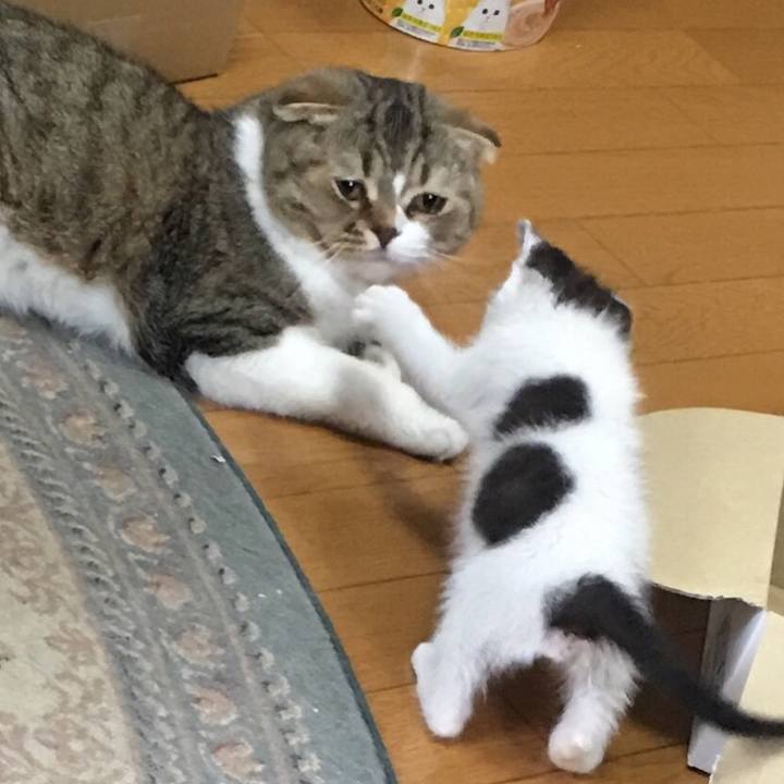 Cba6c1a8 362c 4582 aec3 b72422ae6671 1529242457076