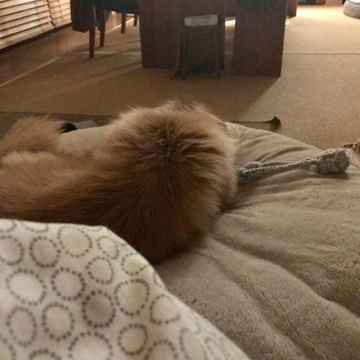 Cba6f146 8ea3 43f5 93b7 7ea8773f55fe 1614099647658