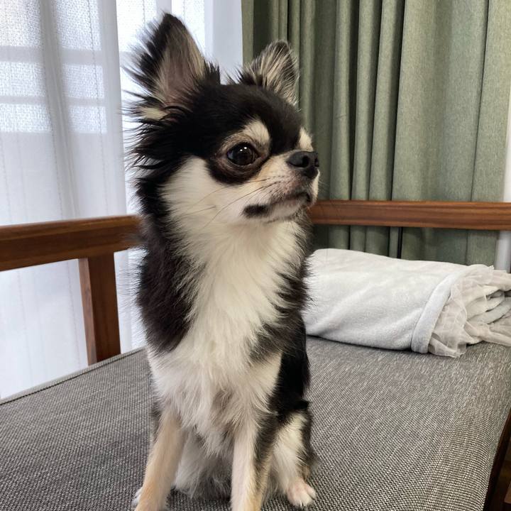 Cba6f66c 6d3a 46b1 9444 f91859fa8cea 1628912281905