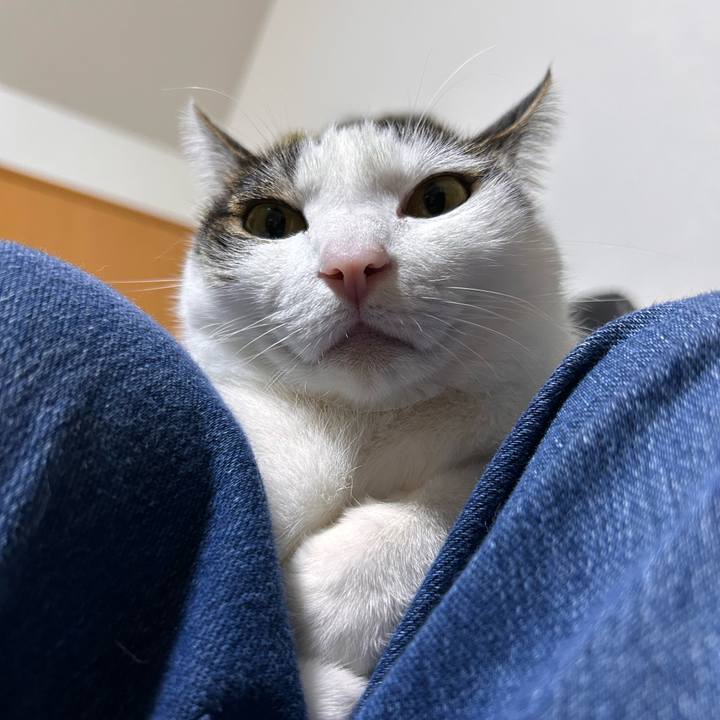 Cba732ef 05ce 45d9 b34c 8300cc5ce3b5 1745501749716