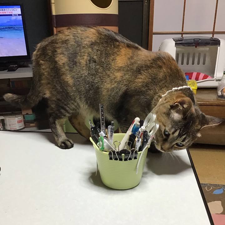 Cba7412f dcc8 4526 a766 cd206fdfa56e 1686392651595