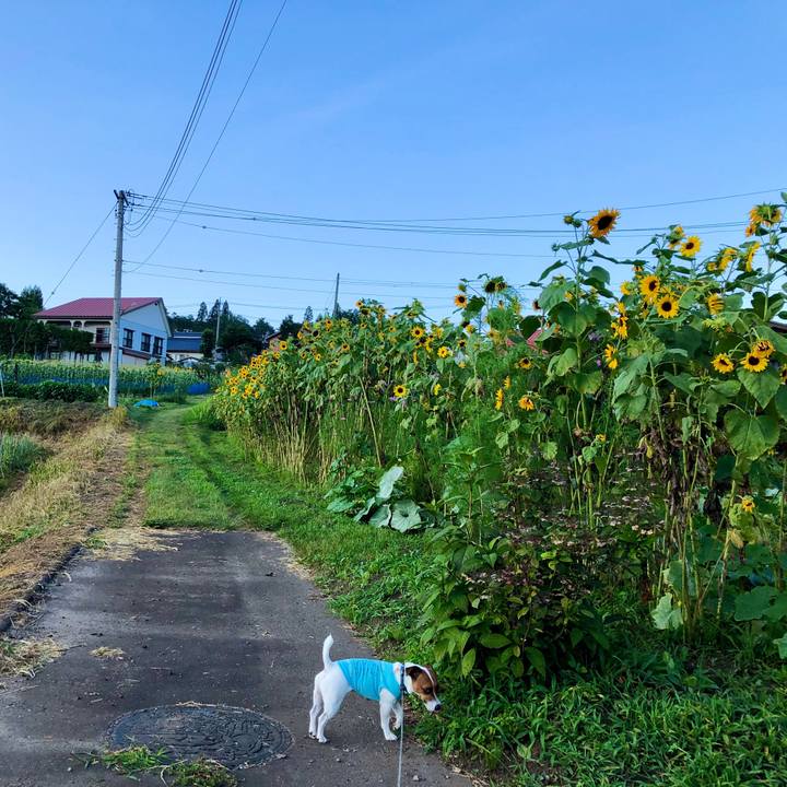 Cba74943 f71c 4068 90e1 b359704faed2 1597842160972