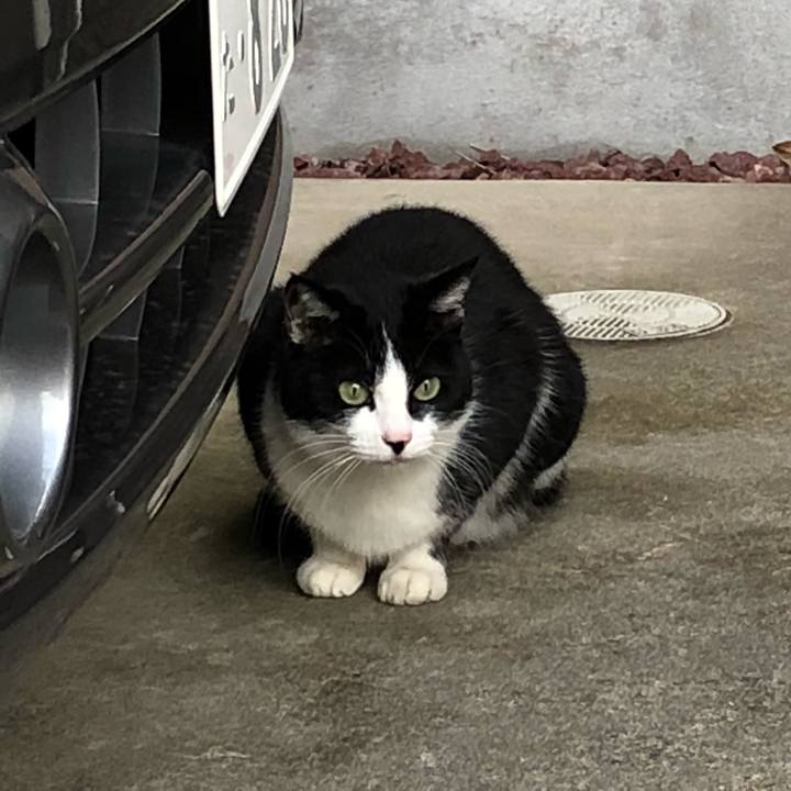 Cba78b5b 95fd 4d12 8191 753707715c68 1516290700715