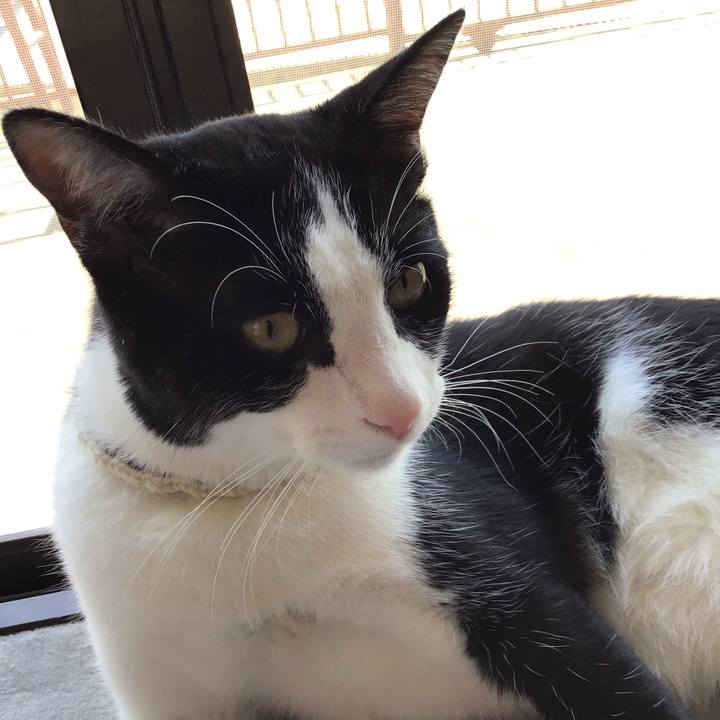 Cba7cbf9 ed42 4556 a6ba 910183a2128c 1654310604720