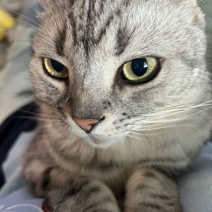 Cba7db10 f0f2 4b30 8b9a 9dfce671c2ee 1747541082824