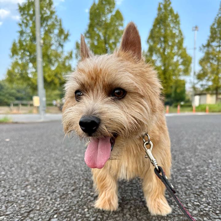 Cba7dd3e dfe0 4f1e bb24 c3cc48559e22 1756621301472