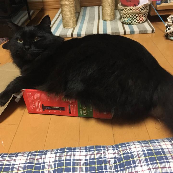 Cba82ca1 2e52 439e b3f5 ca3730e8a4e6 1515259701992