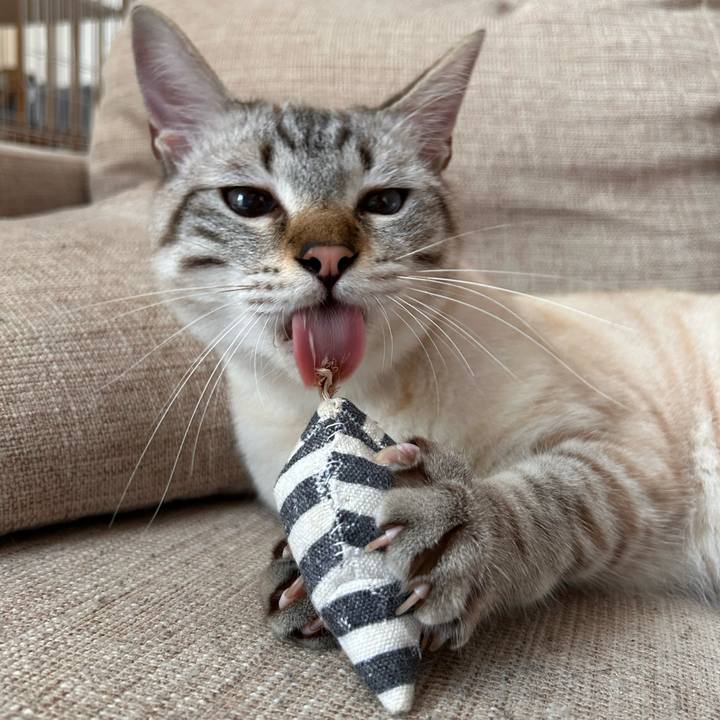 Cba892a7 b428 49a2 b546 e9510a24264c 1750811017177