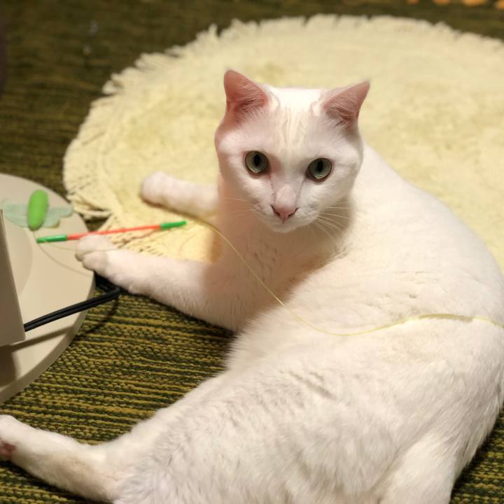 Cba89d82 788c 4603 95eb 3eef6cf6bcdf 1538906553472