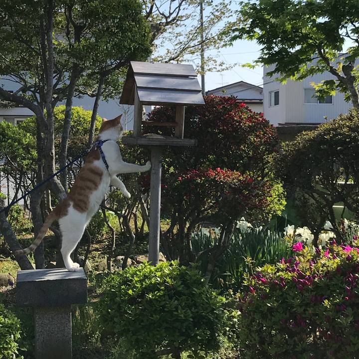 Cba8ae66 df08 4c62 8a6f 8c117410302d 1524899189849