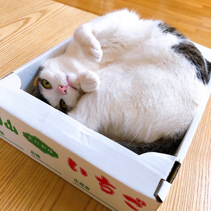 Cba8bc10 17fb 48e8 ba81 671fc97fdf0b 1614583055746