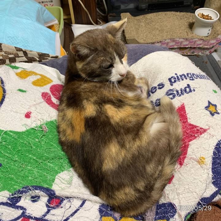 Cba8f554 6ac0 4946 b105 2ca4d318f235 1653834498873