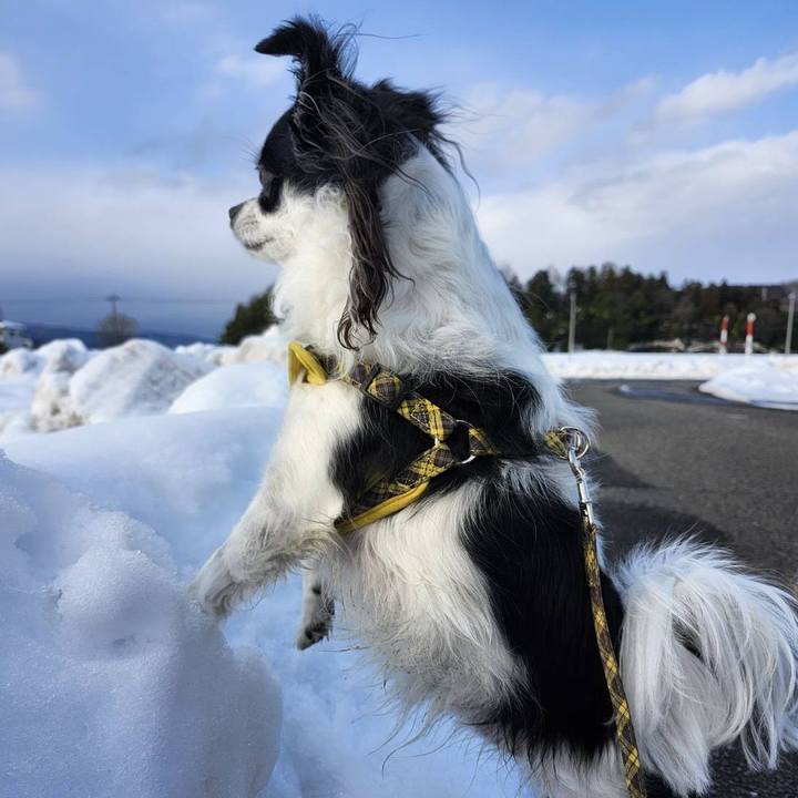 Cba8f62f fde8 4096 b90c 808ee96f7ff3 1769643304892