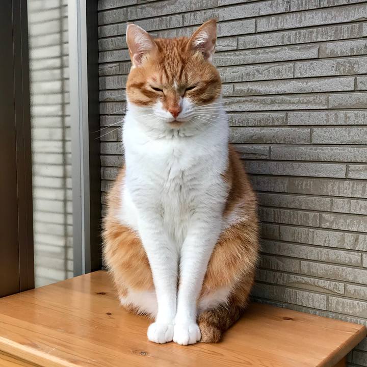 Cba92f1d 5ae1 46f8 bcdb 1e52cdb3f602 1517445507838